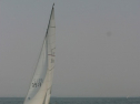IMG_9667.jpg