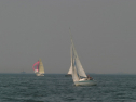 IMG_9673.jpg
