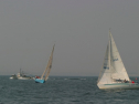 IMG_9674.jpg