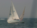 IMG_9676.jpg
