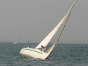 IMG_9677.jpg
