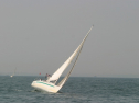 IMG_9678.jpg
