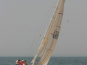 IMG_9688.jpg