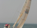 IMG_9689.jpg