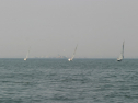 IMG_9694.jpg