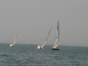 IMG_9695.jpg