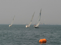 IMG_9696.jpg