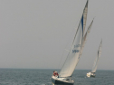 IMG_9698.jpg