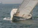 IMG_9713.jpg