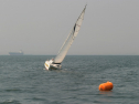 IMG_9721.jpg