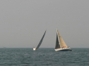 IMG_9737.jpg