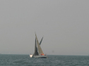 IMG_9738.jpg