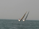 IMG_9740.jpg