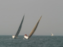 IMG_9741.jpg