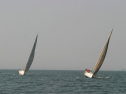 IMG_9742.jpg