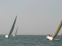 IMG_9745.jpg