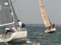 IMG_9767.jpg