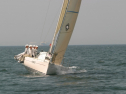 IMG_9768.jpg