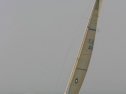 IMG_9769.jpg