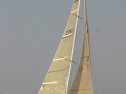 IMG_9782.jpg