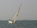 IMG_9789.jpg