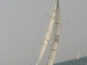 IMG_9790.jpg