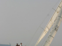 IMG_9791.jpg