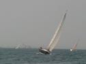 IMG_9796.jpg