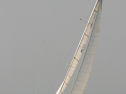 IMG_9798.jpg