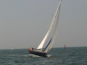 IMG_9801.jpg