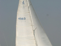 IMG_9806.jpg