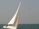IMG_9810.jpg
