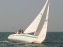 IMG_9834.jpg