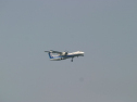 IMG_9842.jpg