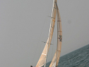 IMG_9844.jpg