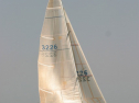 IMG_9852.jpg