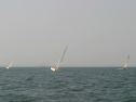 IMG_9853.jpg