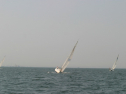 IMG_9854.jpg