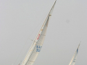 IMG_9857.jpg