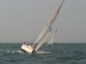 IMG_9858.jpg