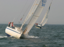 IMG_9859.jpg