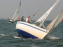 IMG_9863.jpg