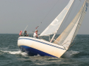 IMG_9865.jpg