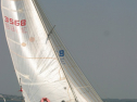 IMG_9872.jpg