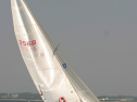 IMG_9874.jpg