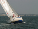 IMG_9875.jpg