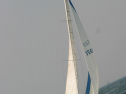 IMG_9878.jpg