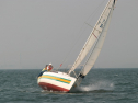 IMG_9881.jpg