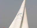 IMG_9892.jpg