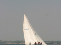 IMG_9895.jpg